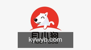 开云网页版